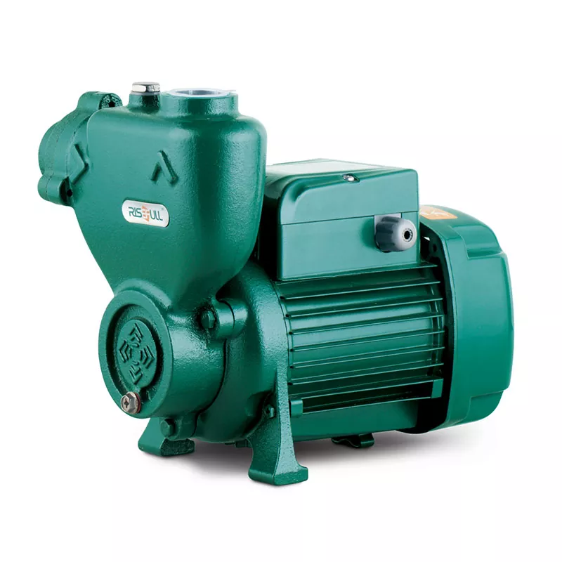 Självsugande elektrisk vattenpump